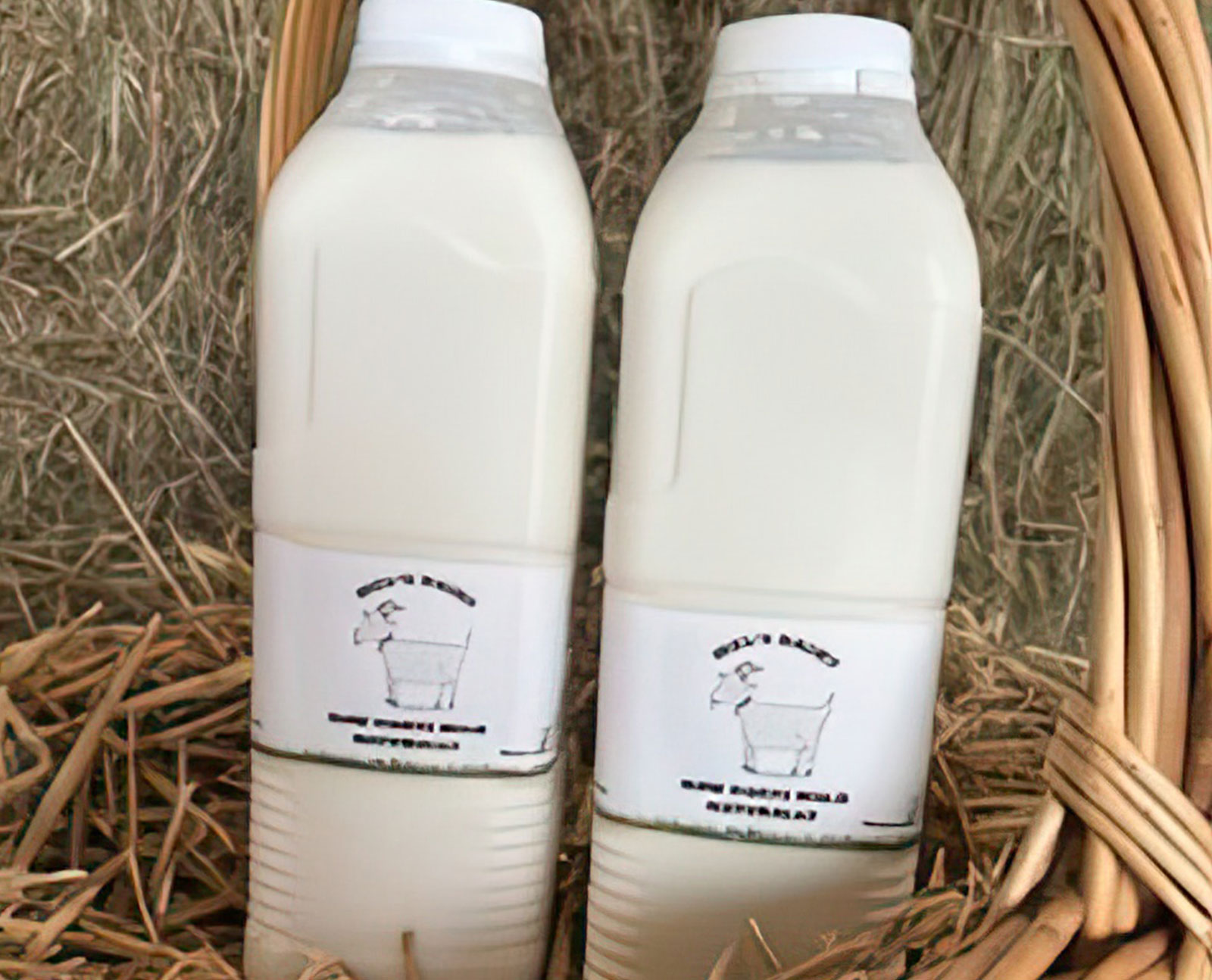Mel's Dairy - Fresh Raw Goats Milk - Nationwide Delivery